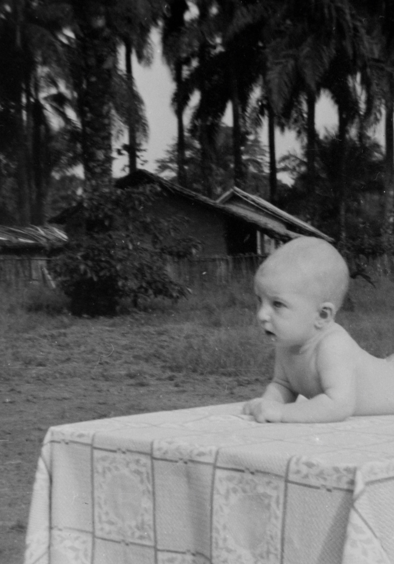 Geir Helge Ommundsen as a baby in Congo-Brazzaville